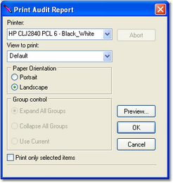 Print Audit Report Dialog